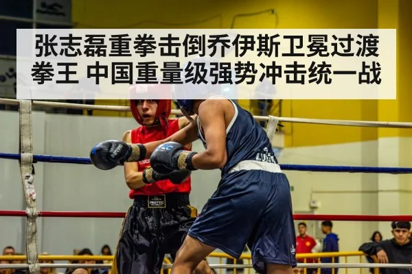 张志磊重拳击倒乔伊斯卫冕过渡拳王 中国重量级强势冲击统一战